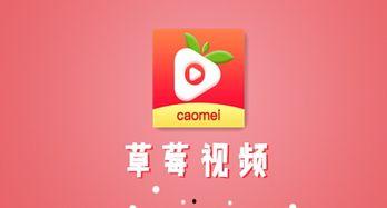 草莓视频app国产下载,国产下载新宠，畅享短视频盛宴