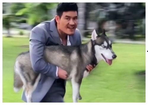 国产二狗背带正确背法视频,轻松育儿，安全无忧