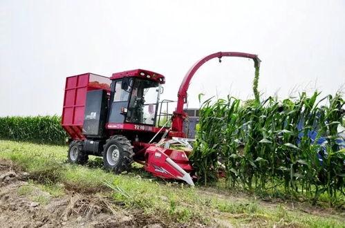 国产青饲料收获机视频