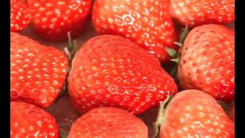 草莓在线视频国产,国产短视频平台的崛起与魅力